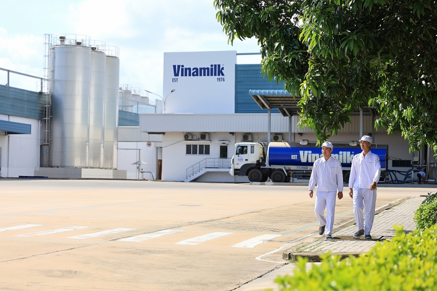 Vinamilk: Khi cắt giảm phát thải trở thành thế mạnh xuất khẩu
