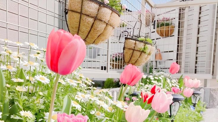 Tử vi vòng quay công nghệ ngày 15/2/2026: Tuổi Tý nảy sinh tranh cãi, tuổi Dần tin vui về công việc