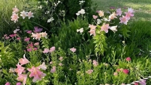 Tử vi vòng quay công nghệ ngày 22/9/2025: Tuổi Dần kém may mắn, tuổi Sửu công việc rất tốt