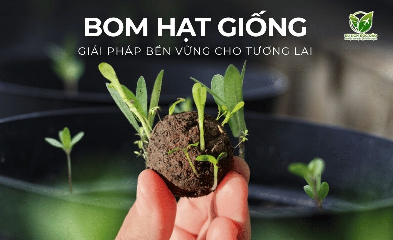 Phát triển nông nghiệp công nghệ cao, nhìn từ hướng đi thành công của Hà Tĩnh