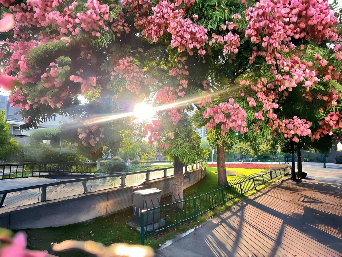 Tử vi vòng quay công nghệ ngày 11/10/2025: Tuổi Hợi vận trình thuận lợi, tuổi Thìn dễ gặp áp lực