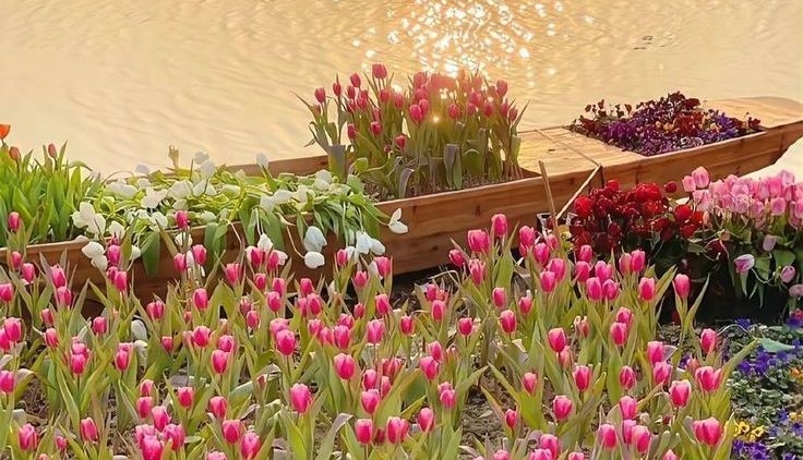 Tử vi vòng quay công nghệ ngày 27/9/2025: Tuổi Thân gặt hái thành công, tuổi Mão chưa thuận lợi