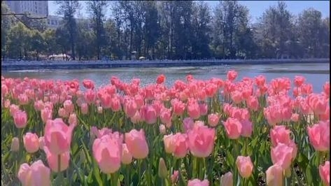 Tử vi vòng quay công nghệ ngày 16/3/2026: Tuổi Tuất nhiều biến cố, tuổi Mão quý nhân phù trợ