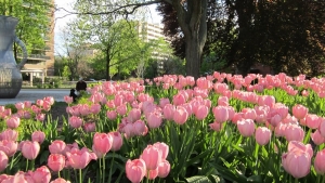 Tử vi vòng quay công nghệ ngày 27/9/2025: Tuổi Thân gặt hái thành công, tuổi Mão chưa thuận lợi