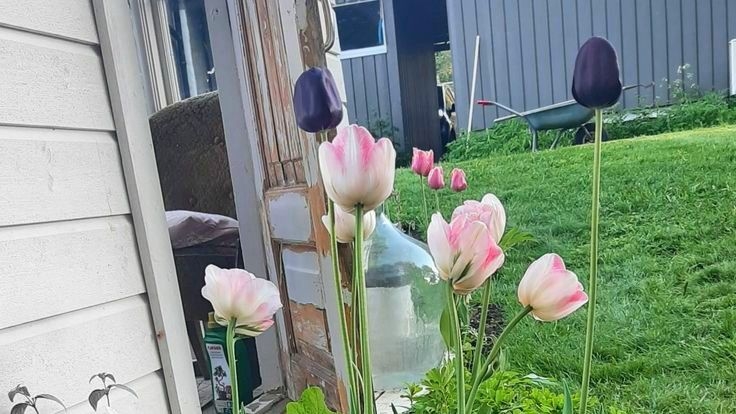 Tử vi vòng quay công nghệ ngày 2/4/2026: Tuổi Sửu buôn bán thuận lợi, tuổi Dậu lao đao công việc