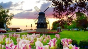 Tử vi vòng quay công nghệ ngày 30/9/2025: Tuổi Tuất có điềm báo mâu thuẫn, tuổi Tý nhiều khởi sắc