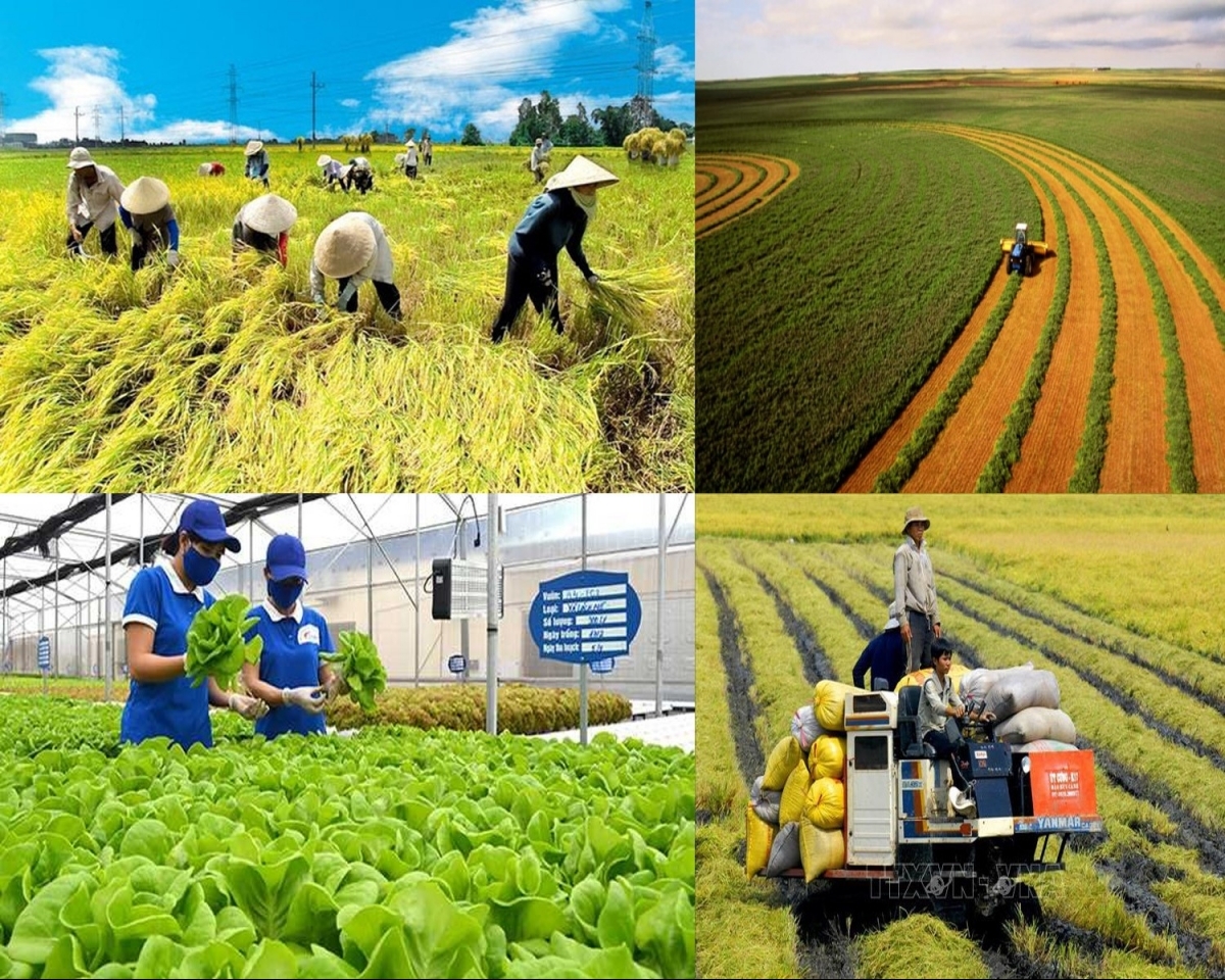 Ứng dụng AI trong phát triển nông nghiệp, nhiều tỉnh ghi nhận kết quả vượt bậc