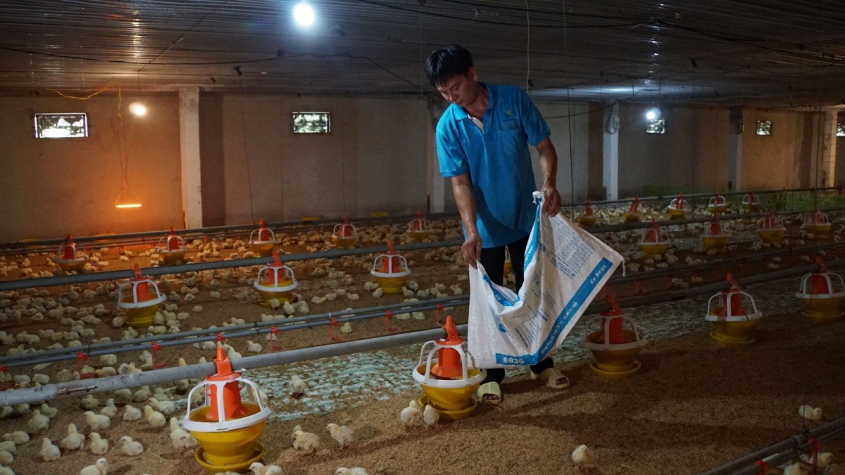 Ứng dụng AI trong phát triển nông nghiệp, nhiều tỉnh ghi nhận kết quả vượt bậc