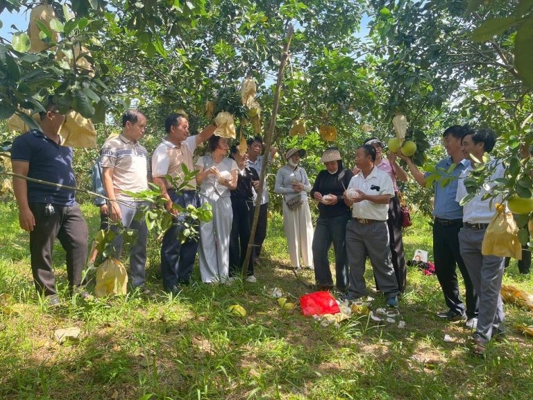Ứng dụng AI trong phát triển nông nghiệp, nhiều tỉnh ghi nhận kết quả vượt bậc
