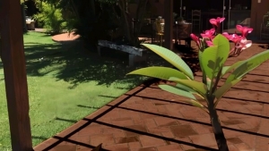 Tử vi vòng quay công nghệ ngày 3/10/2025: Tuổi Tý gặp thị phi, tuổi Mão khởi sắc