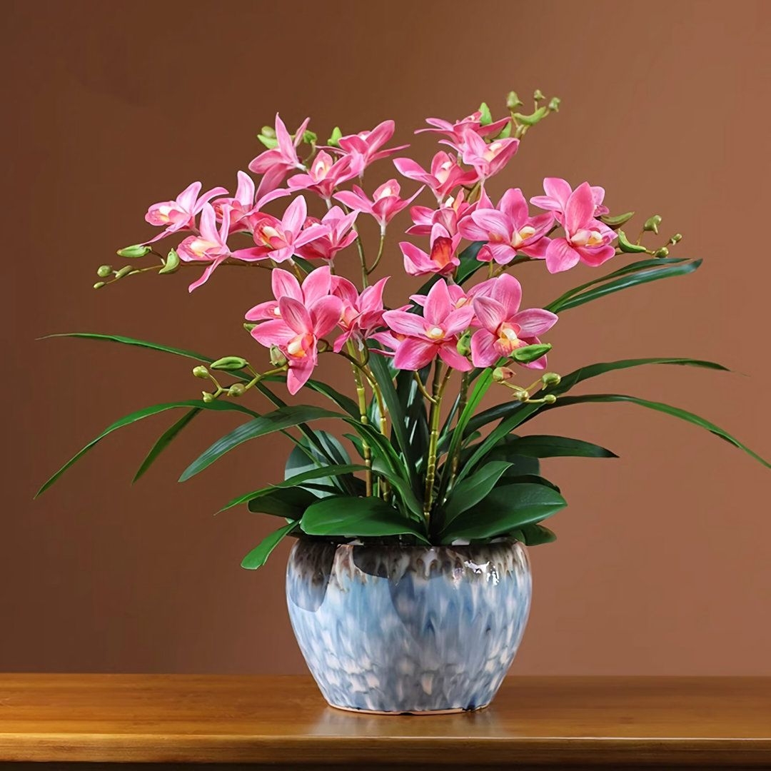 Tử vi vòng quay công nghệ ngày 12/1/2026: Tuổi Thìn gặt hái thành tích, tuổi Dần nhiều điều bất trắc