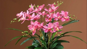 Tử vi vòng quay công nghệ ngày 4/10/2025: Tuổi Sửu nhiều rắc rối, tuổi Tuất  giải quyết thuận lợi