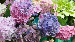 Tử vi vòng quay công nghệ ngày 6/10/2025: Tuổi Dần dễ dàng nổi nóng, Tuổi Thìn Tam Hợp trợ vận