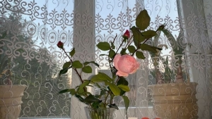 Tử vi vòng quay công nghệ ngày 7/10/2025: Tuổi Thìn hay gặp may, tuổi Ngọ mất tiền