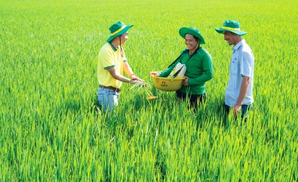 PVCFC bứt phá xuất khẩu, khẳng định vị thế thương hiệu mạnh Việt Nam 2025
