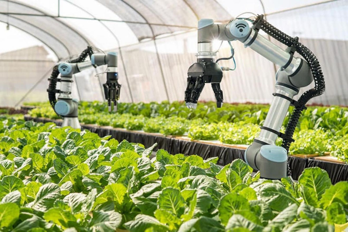 Những gam màu sáng trong bức tranh kinh tế Việt Nam 9 tháng năm 2025