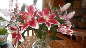 Tử vi vòng quay công nghệ ngày 9/10/2025: Tuổi Tý tài lộc ổn định, tuổi Thân cảm thấy bất an