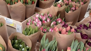 Tử vi vòng quay công nghệ ngày 10/10/2025: Tuổi Dần mâu thuẫn quan điểm, tuổi Tuất gặp nhiều lợi thế