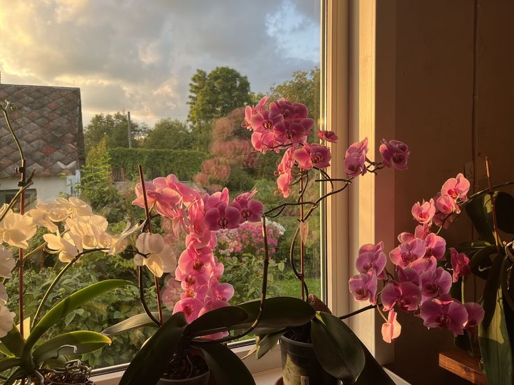 Tử vi vòng quay công nghệ ngày 9/3/2026: Tuổi Mùi quý nhân soi đường, tuổi Dậu đối diện với nhiều áp lực