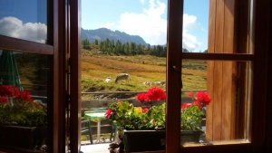 Tử vi vòng quay công nghệ ngày 21/10/2025: Tuổi Hợi dễ căng thẳng, tuổi Dần vận tài lộc hanh thông