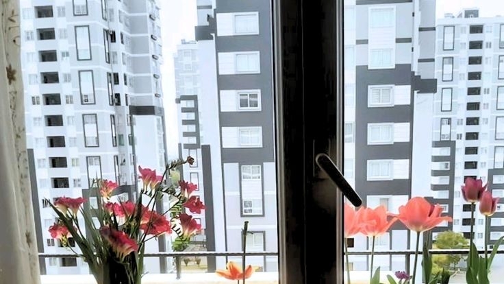 Tử vi vòng quay công nghệ ngày 17/3/2026: Tuổi Dần cần kiên nhẫn, tuổi Ngọ nhận tin vui