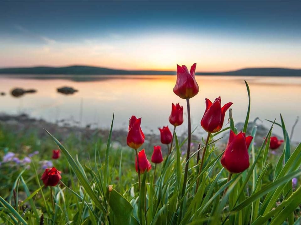 Tử vi vòng quay công nghệ ngày 26/3/2026: Tuổi Tuất ngày hạnh phúc, tuổi Hợi cần nghỉ nghơi