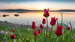 Tử vi vòng quay công nghệ ngày 23/10/2025: Tuổi Dần trắc trở, tuổi Thìn hanh thông