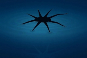 Robot mềm của UVA có thể 'đi' trên mặt nước