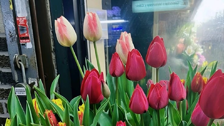 Tử vi vòng quay công nghệ ngày 25/10/2025: Tuổi Dần tình cảm tốt đẹp, tuổi Mão có phần sa sút