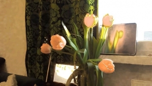 Tử vi vòng quay công nghệ ngày 11/4/2026: Tuổi Tý nhiều may mắn, tuổi Mùi xảy ra mâu thuẫn