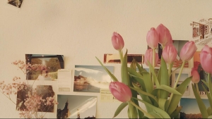 Tử vi vòng quay công nghệ ngày 26/10/2025: Tuổi Tý vận may tài lộc, tuổi Ngọc đề phòng tiểu nhân