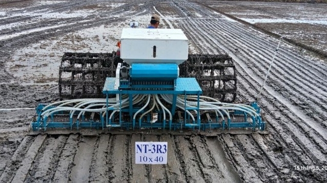 Công nghệ số mở đường cho canh tác lúa bền vững tại Đồng bằng sông Cửu Long