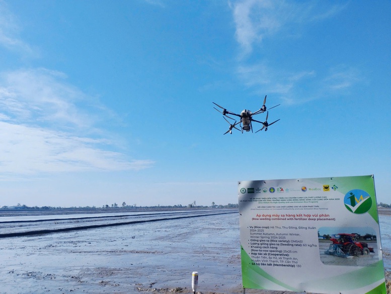 Công nghệ số mở đường cho canh tác lúa bền vững tại Đồng bằng sông Cửu Long