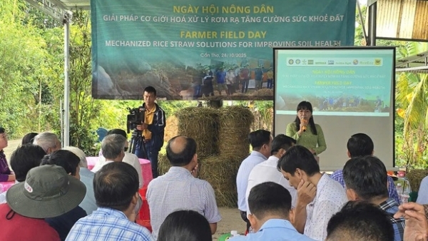 'Biến rơm rạ thành vàng': Nông dân Cần Thơ tiên phong ứng dụng công nghệ xử lý rơm bền vững
