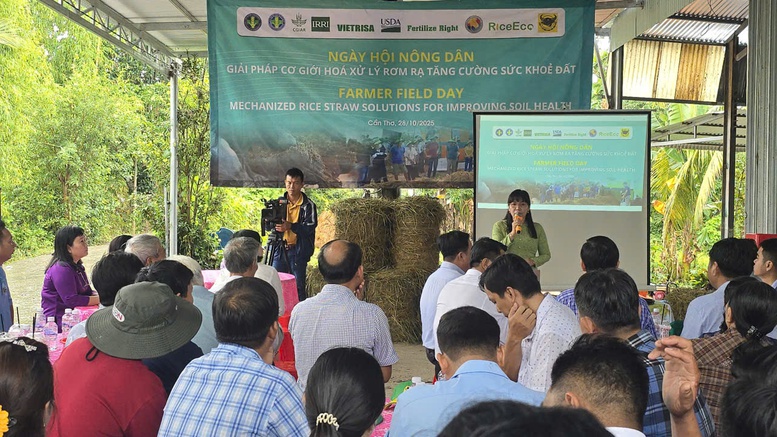 Biến rơm rạ thành vàng: Nông dân Cần Thơ tiên phong ứng dụng công nghệ xử lý rơm bền vững