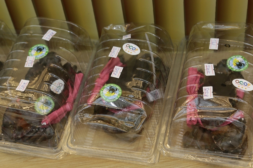 Hội chợ Mùa Thu 2025: Sức bật tiêu dùng, lan tỏa tinh thần hàng Việt