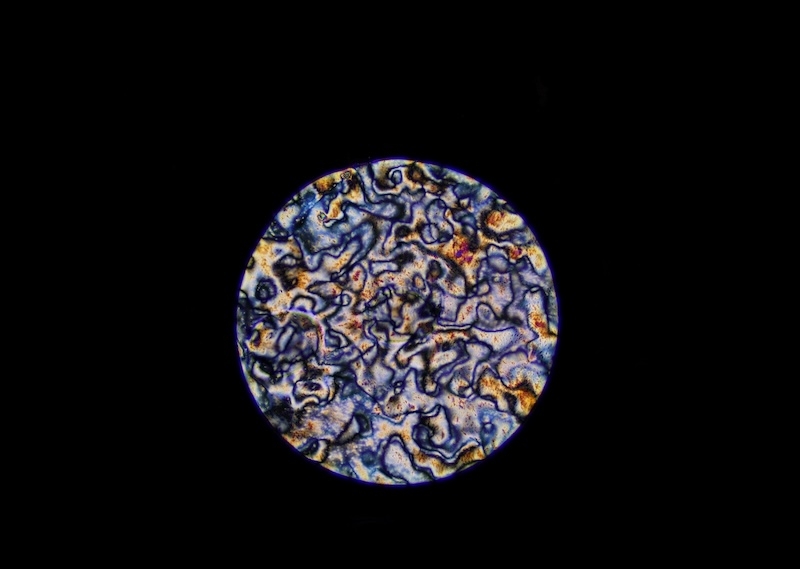 Đột phá từ Đại học Waterloo: Vật liệu mô phỏng cơ bắp giúp robot di chuyển tự nhiên hơn