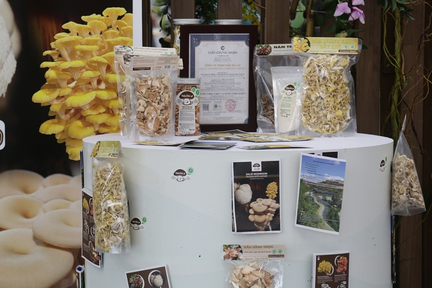 Các doanh nghiệp lớn mang gì đến Hội chợ Mùa Thu 2025?