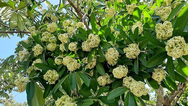 Tử vi vòng quay công nghệ ngày 02/11/2025: Tuổi Dần nên tránh xa các cuộc cãi vã, Tuổi Thân nên đề phòng vài mối quan hệ