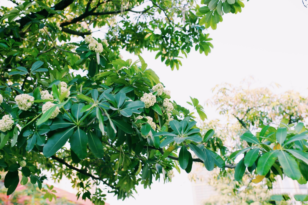 Tử vi vòng quay công nghệ ngày 02/11/2025: Tuổi Dần nên tránh xa các cuộc cãi vã, Tuổi Thân nên đề phòng vài mối quan hệ Tử vi vòng quay công nghệ ngày 02/11/2025: Tuổi Dần nên tránh xa các cuộc cãi vã, Tuổi Thân nên đề phòng vài mối quan hệ