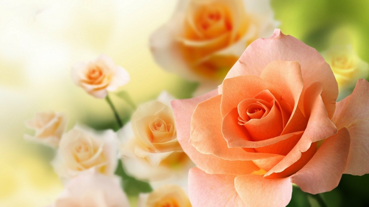 Tử vi vòng quay công nghệ ngày 05/11/2025: Tuổi Dần có đường tài lộc, Tuổi Dậu có tinh thần cầu tiến