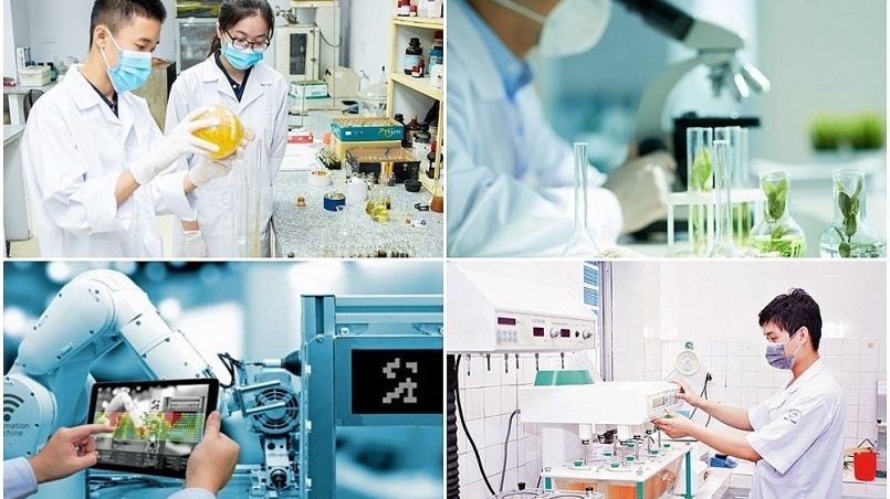 Hợp tác KHCN và giáo dục - trụ cột trong quan hệ toàn diện Việt Nam - EU