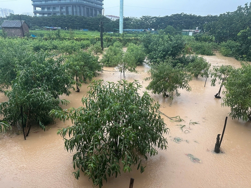 Năm nguồn lực cơ bản cho phòng chống thiên tai