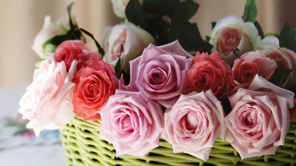 Tử vi vòng quay công nghệ ngày 9/11/2025: Tuổi Mão đón nhận nhiều may mắn, Tuổi Tỵ nên cẩn trọng trong lời nói