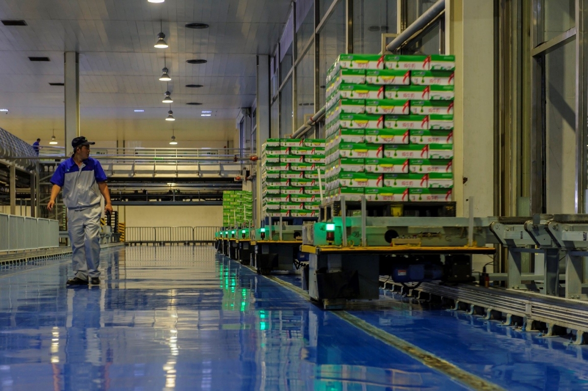 Khởi nghiệp cần “dinh dưỡng”,  đổi mới sáng tạo cần “đầu tư kiên nhẫn”