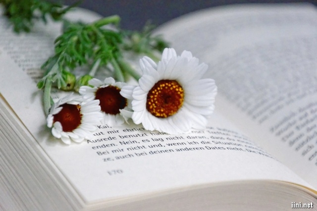 Tử vi vòng quay công nghệ ngày 12/11/2025: Tuổi Sửu sự nghiệp hanh thông, Tuổi Dần vận trình không được thuận lợi