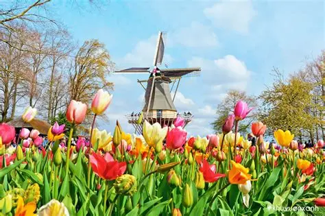 Xổ số miền Nam ngày 14/11/2025 - Kết quả trực tiếp hôm nay