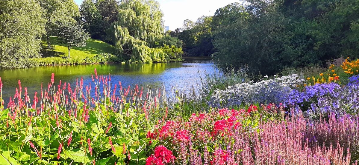 Tử vi vòng quay công nghệ ngày 18/11/2025: Tuổi Tý vượng tài lộc, tuổi Ngọ nên thận trọng