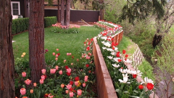 Tử vi vòng quay công nghệ ngày 20/11/2025: Tuổi Hợi khá suôn sẻ, tuổi Mùi gặp khó khăn