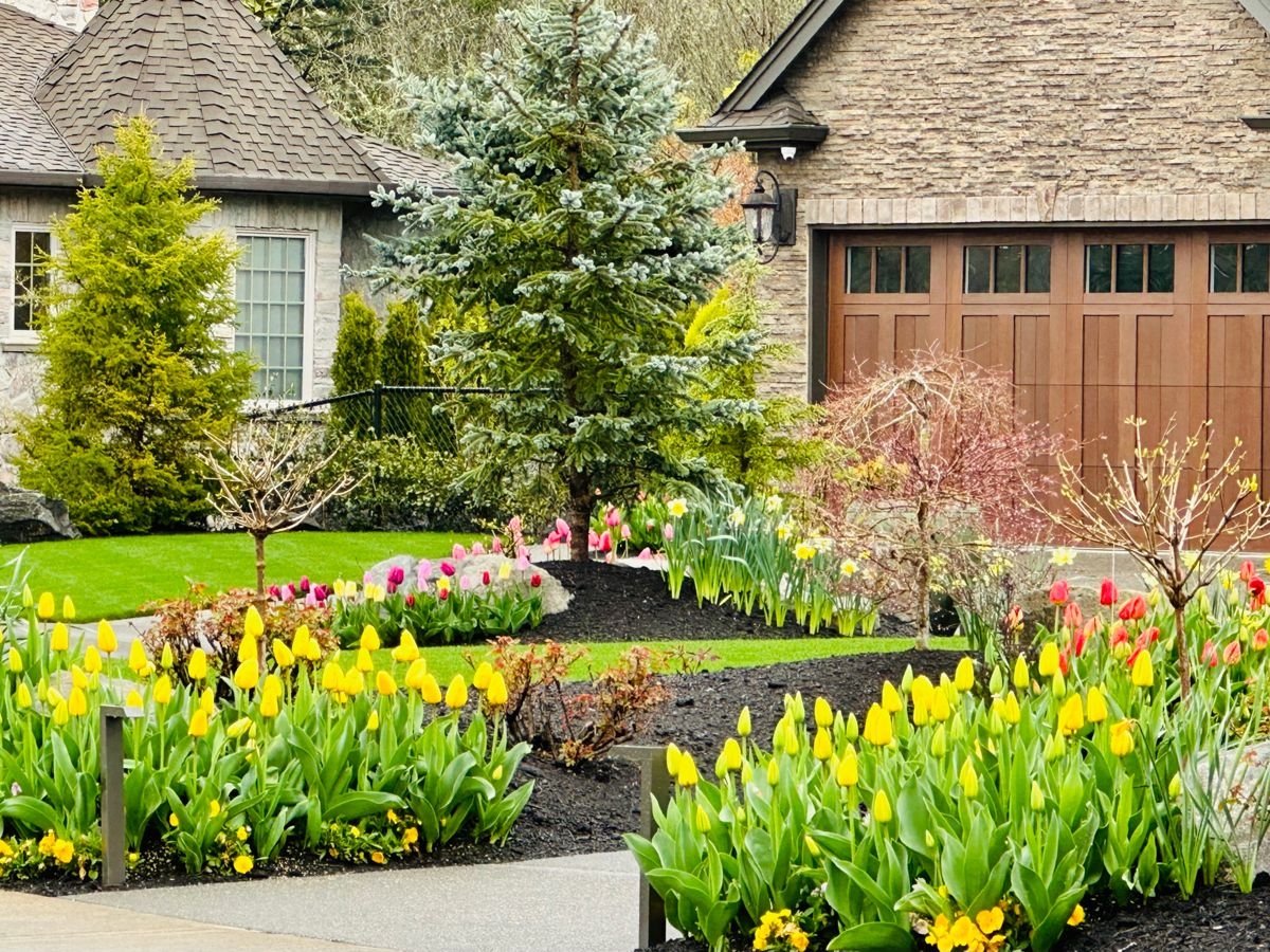 Tử vi vòng quay công nghệ ngày 21/11/2025: Tuổi Dần thiếu động lực, tuổi Dậu vượng cát khí